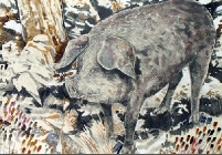 mochyndu1